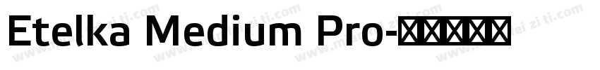 Etelka Medium Pro字体转换